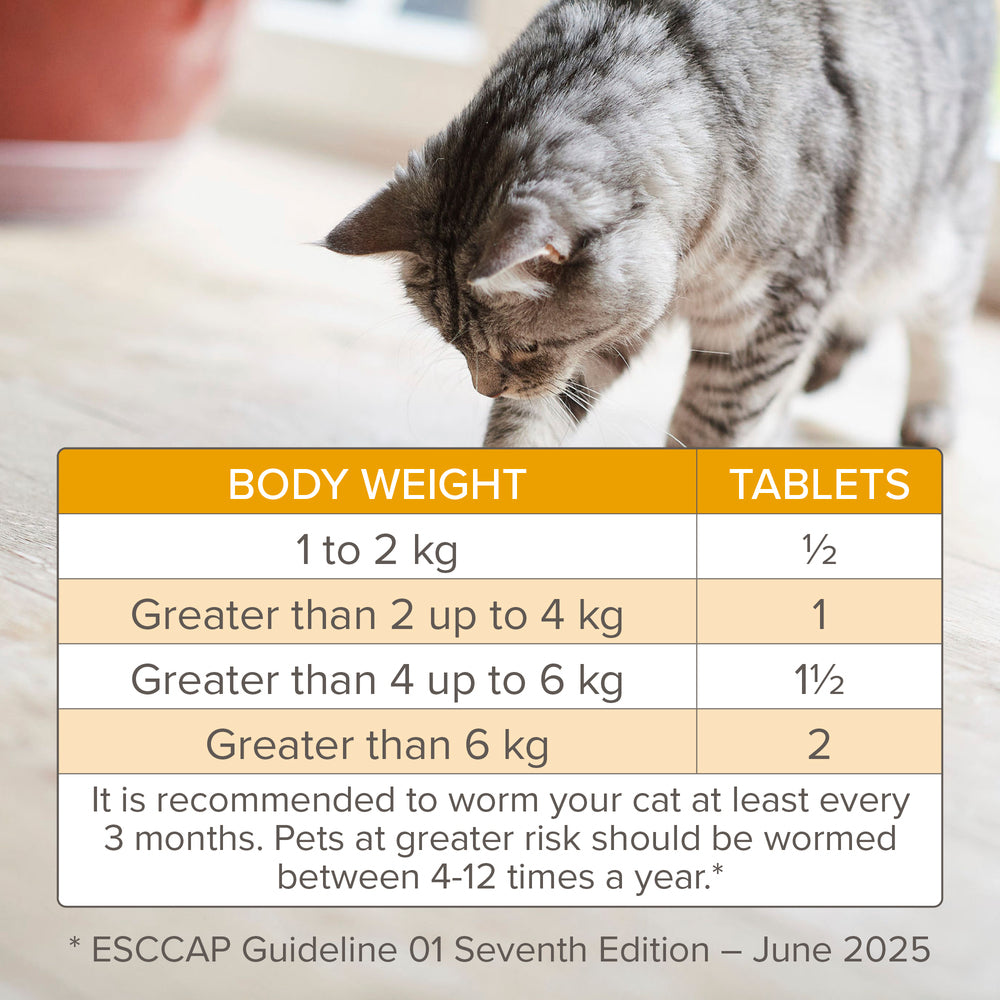 Beaphar WORMclear for Cats Worming Tablets x 2