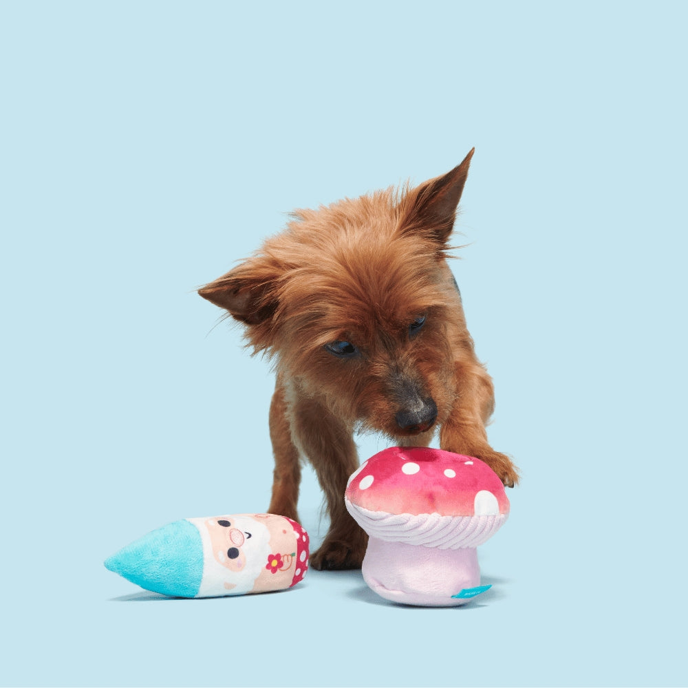 BARK Fun Guy Gnomie Homie Backyard Garden Dog Toy