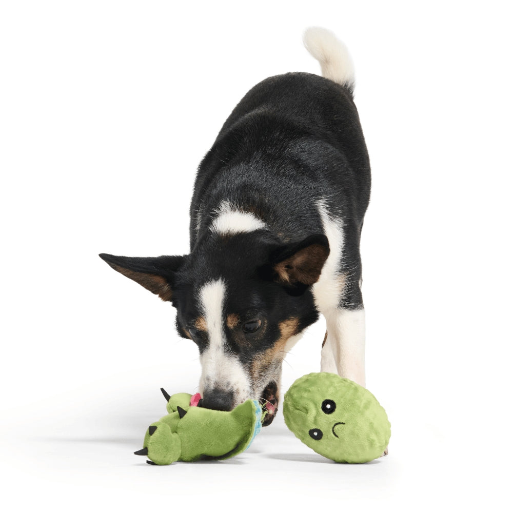 BARK Consuela The Cactus Plush Dog Toy