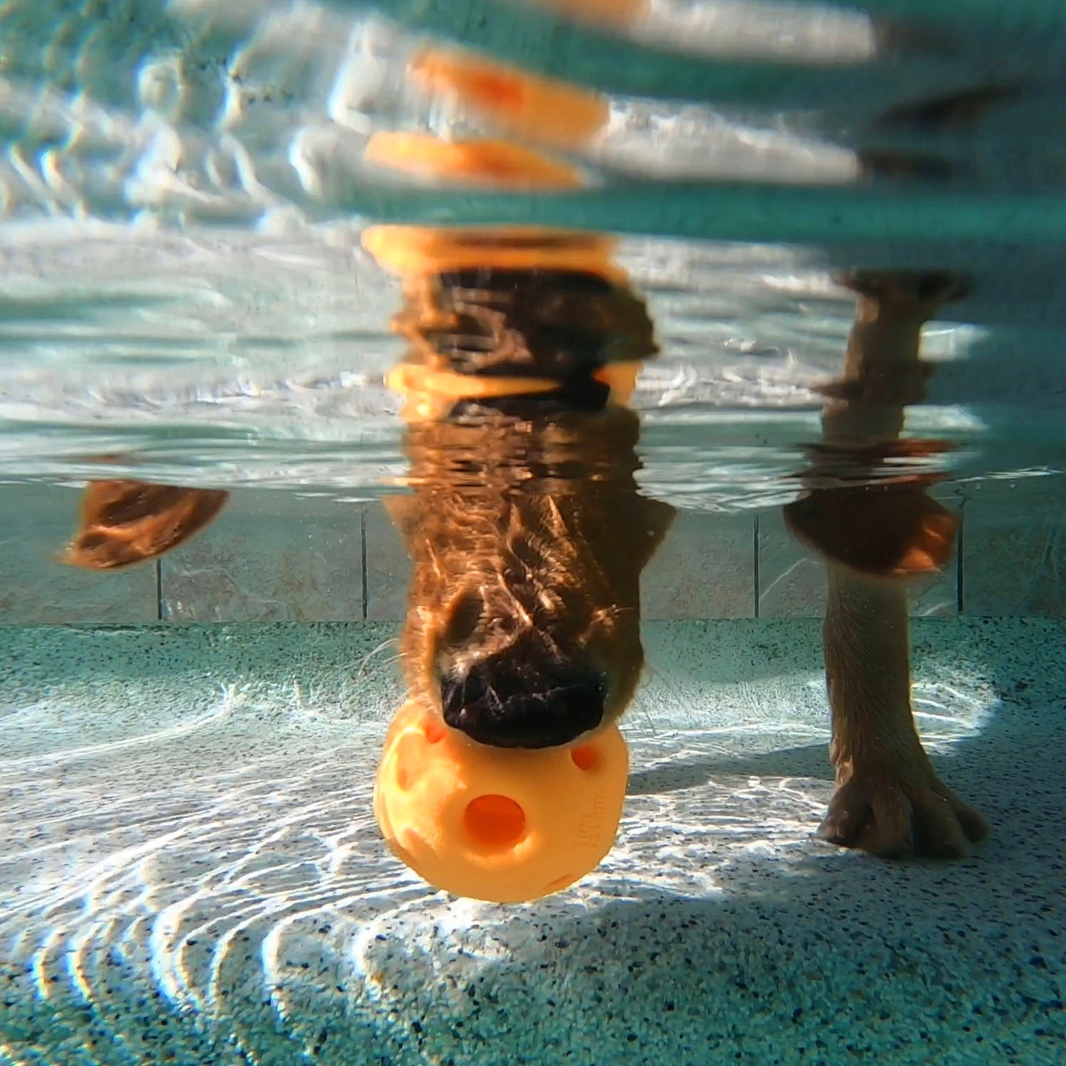 Multipet Breeze Ball Dog Toys | Durable, Lightweight Play Balls 3"