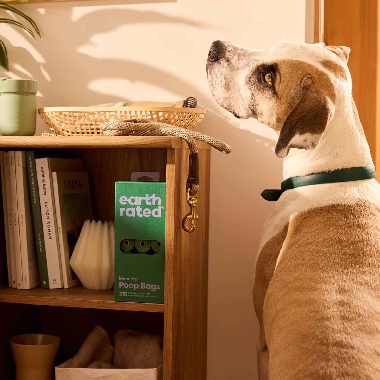 Earth Rated Poo Bags 42 Rolls (630) Scented (2 box BULK deal)