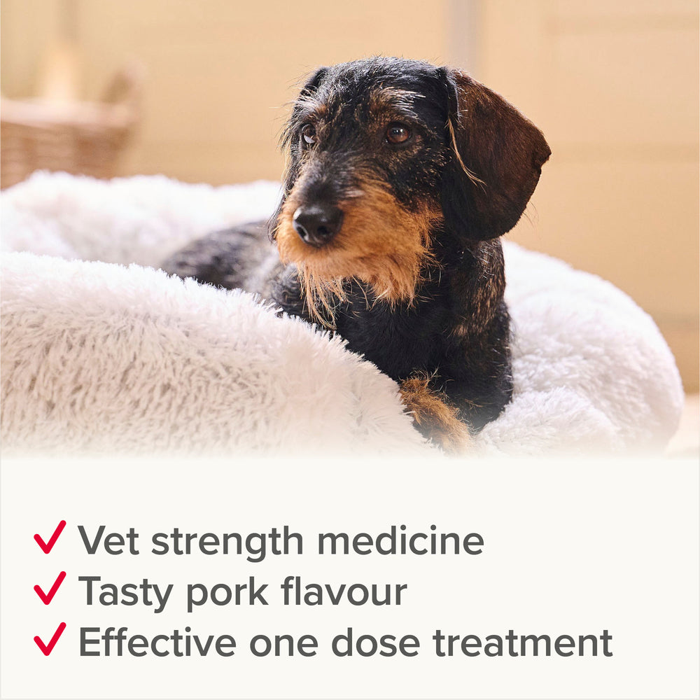Beaphar WORMclear for Small Dogs up to 20kg Worming Tablets x 2