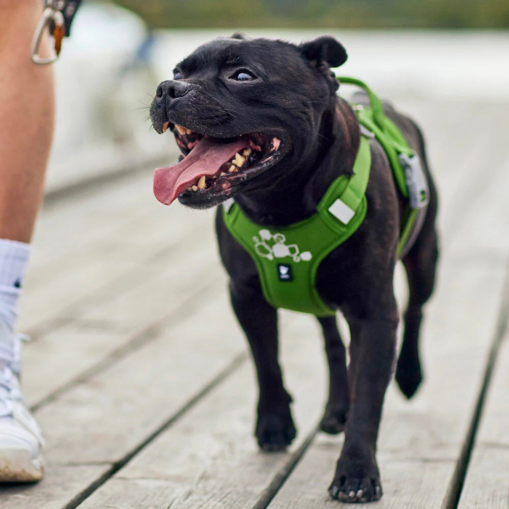 Hurtta Weekend Warrior II ECO Dog Harness Parsley 5 Sizes