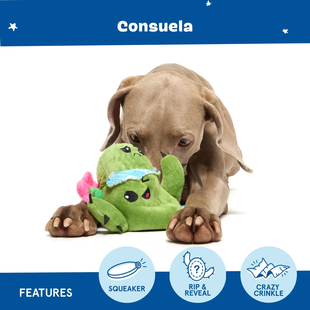 BARK Consuela The Cactus Plush Dog Toy