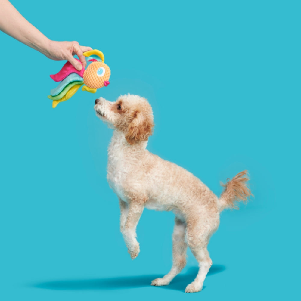 BARK Ahi Tina Plush Dog Toy