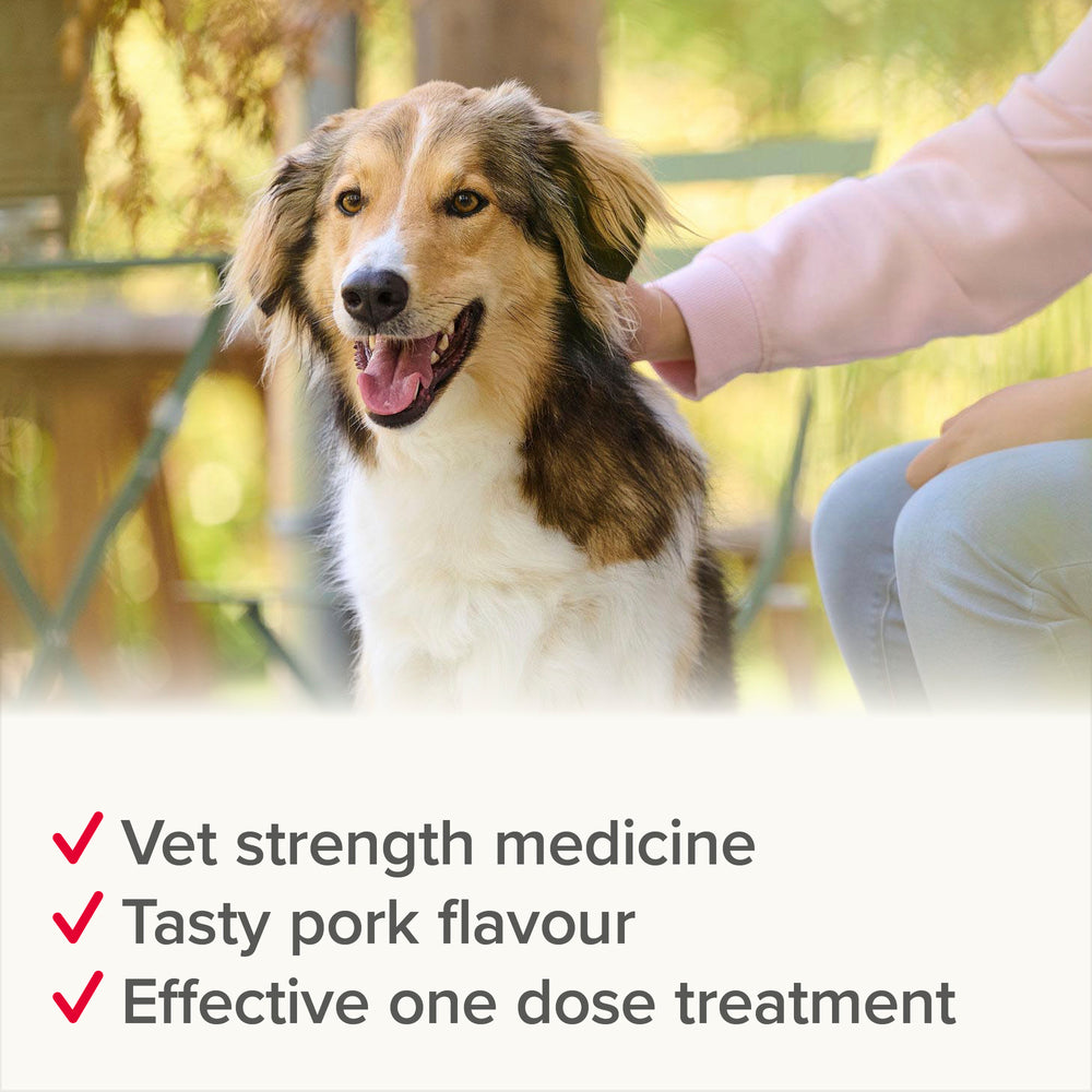 Beaphar WORMclear for Large Dogs up to 40kg Worming Tablets x 4