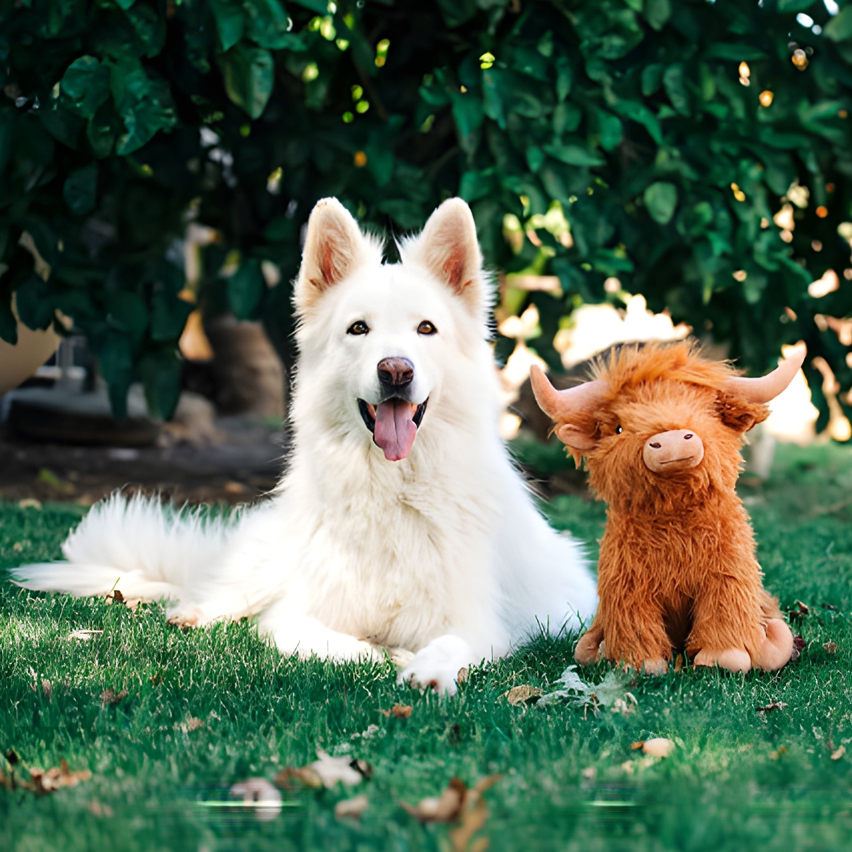 Highland Cow Soft Plush Dog Toys 2 Sizes