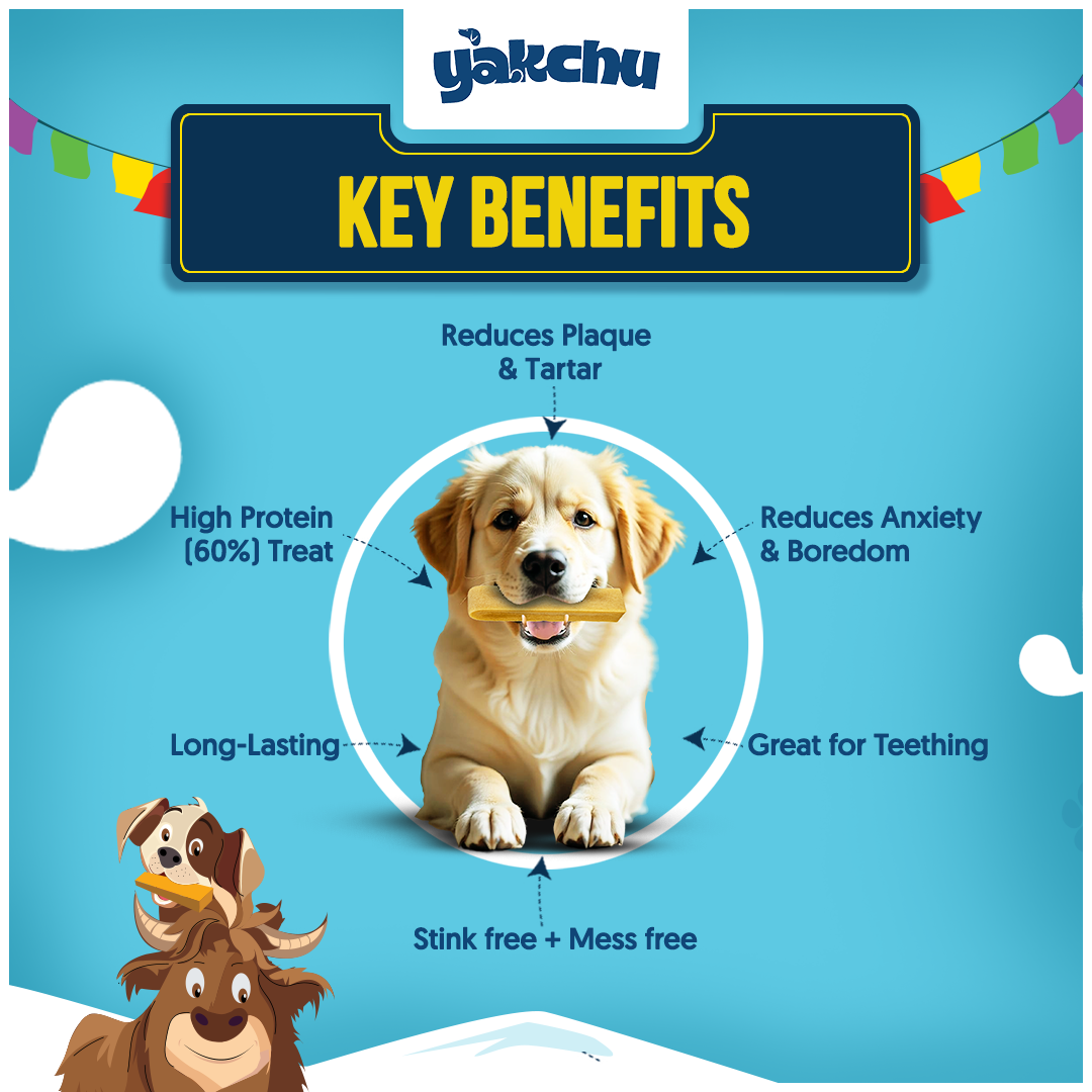 Yakchoo Himalayan Yak Cheese Dog Chews – X-Large 150g - 1 or 2 Pack Options