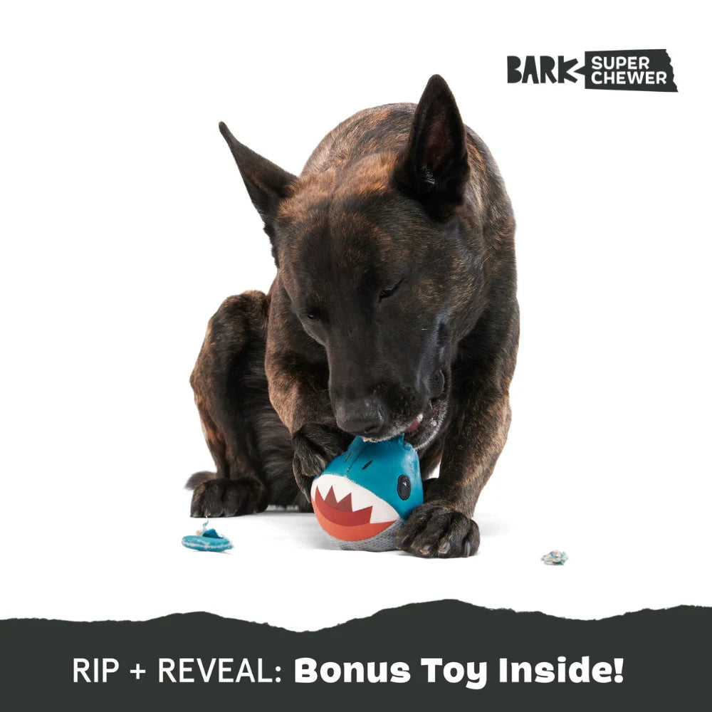 BARK Great White Dwight Super Chewer Dog Toy
