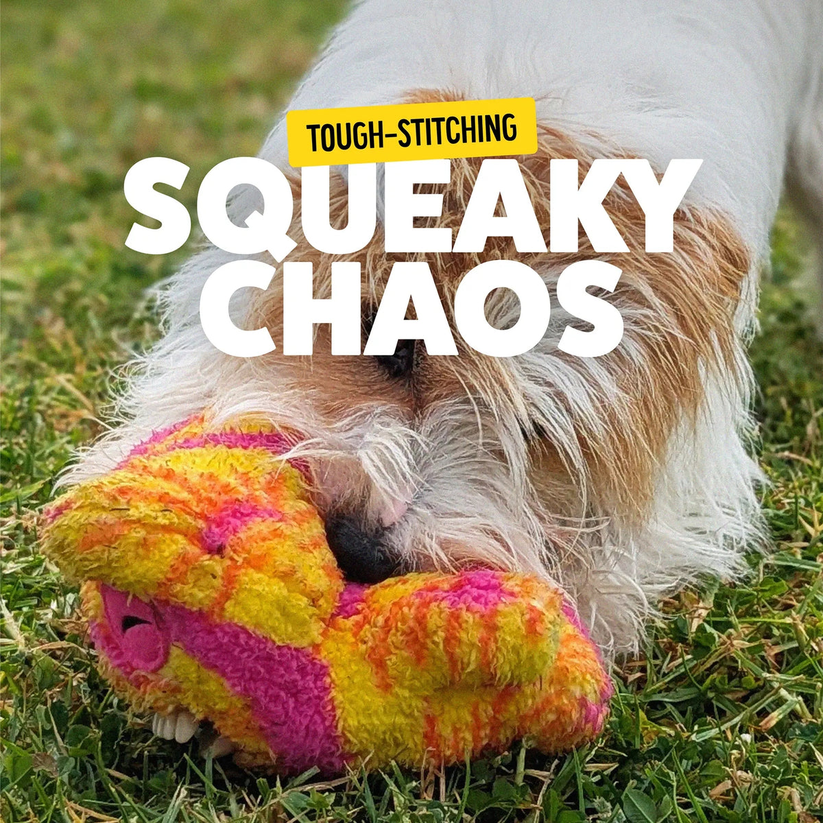 Bonkers Fuggler Dog Toy – Gaptooth McGoo