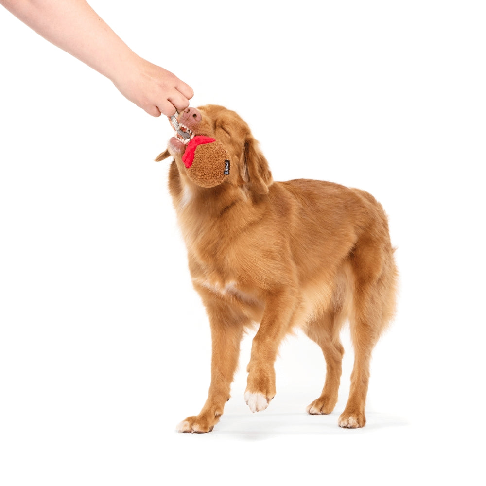 BARK A Squeaky Meat-A-Ball Super Chewer Dog Toy