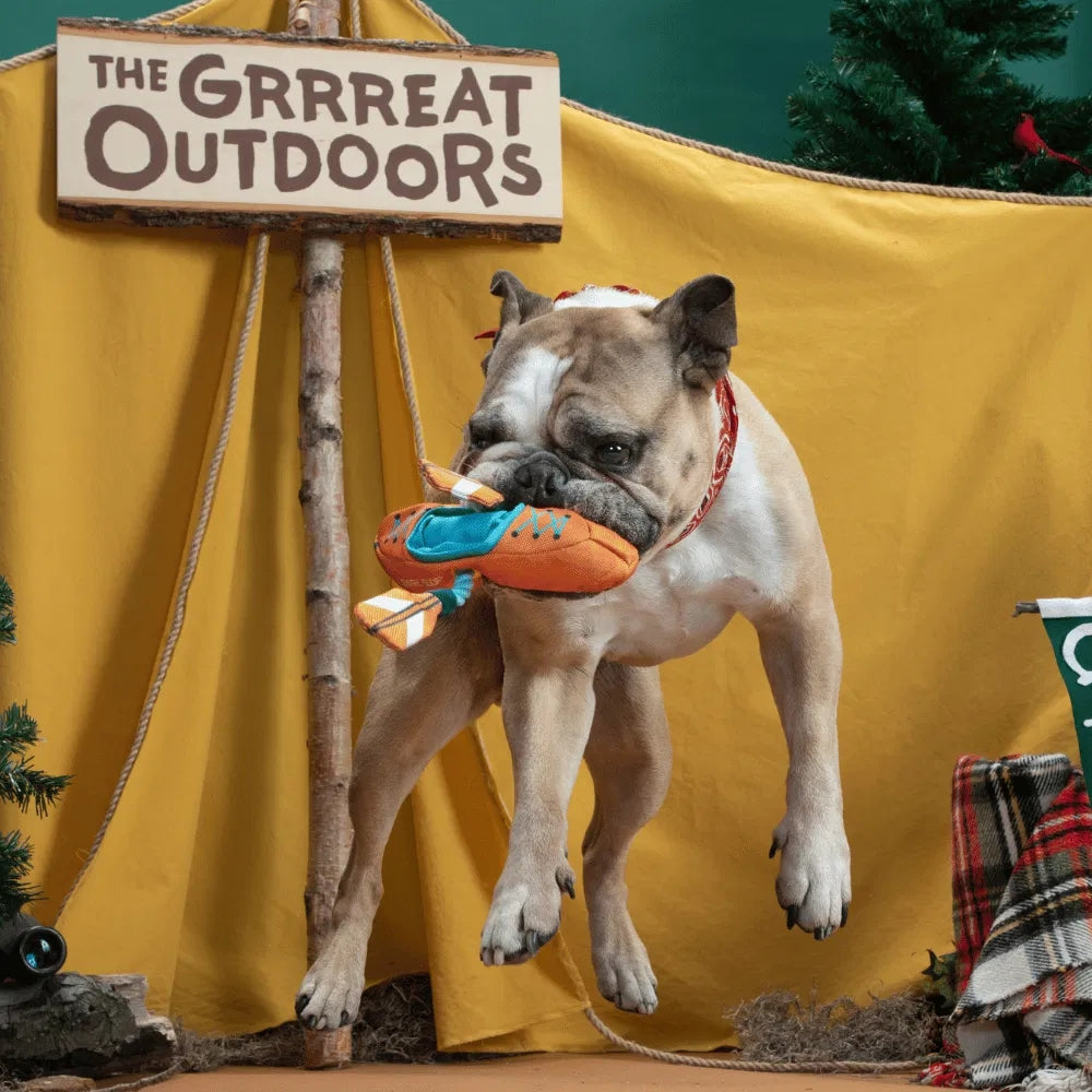 BARK Off-Track Kayak Grrreat Outdoors Dog Toy