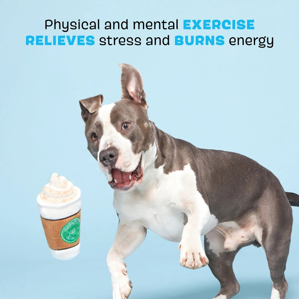 BARK Cup Of Bark Roast Plush Dog Toy