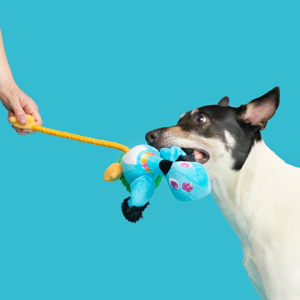 BARK Ani The Nene Goose Plush Dog Toy