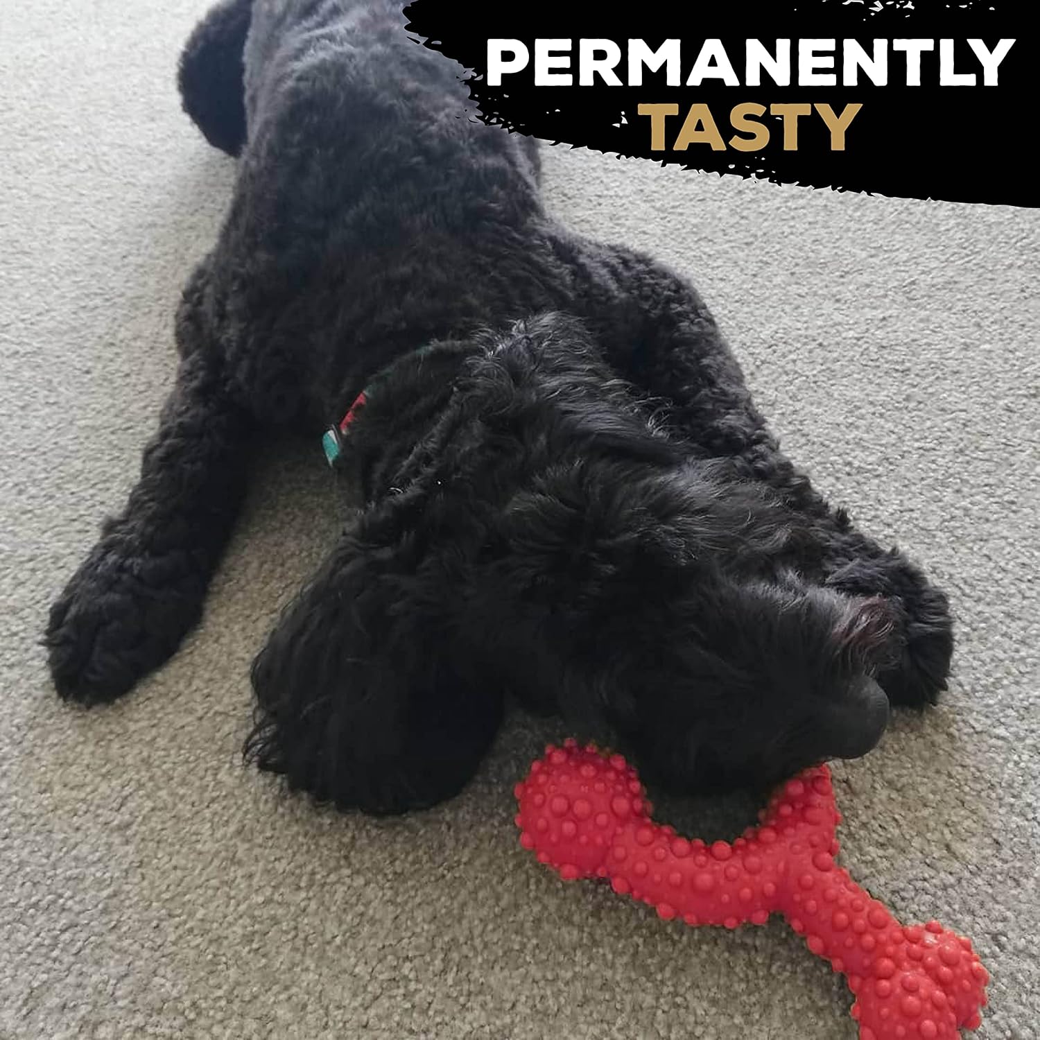 TastyBone TRIO Tough Nylon Dog Chews for Toy Dogs 5 Flavours