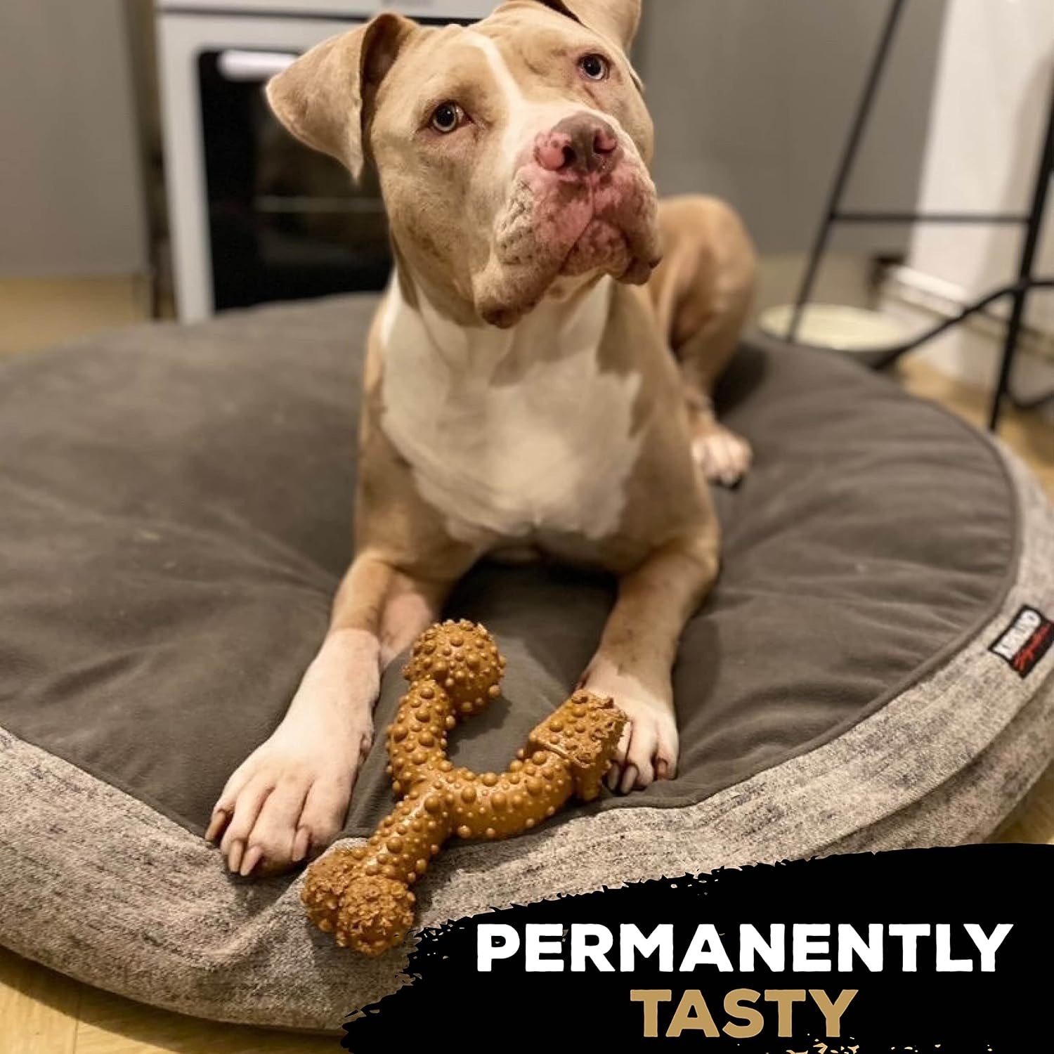 TastyBone TRIO Tough Nylon Dog Chews for Large Dogs 5 Flavours