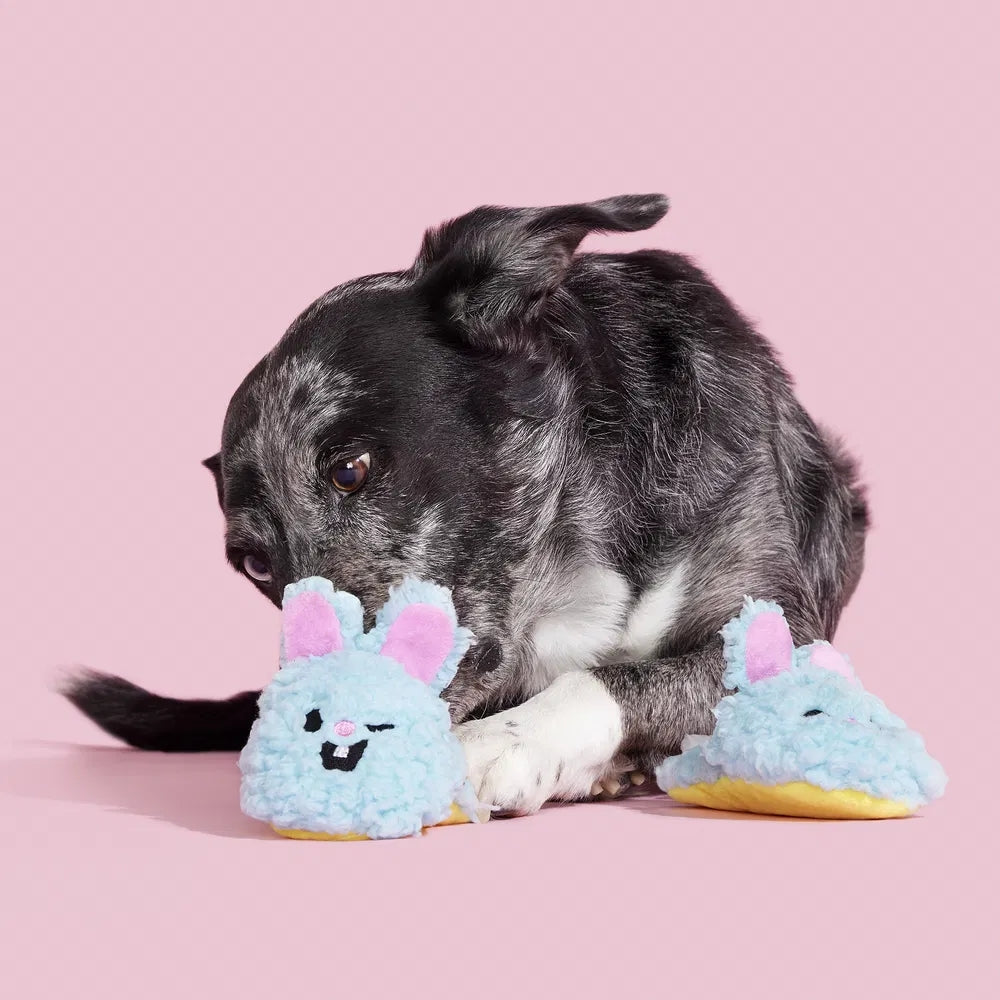 BARK Yippy & Skippy Slippies Plush Dog Toy