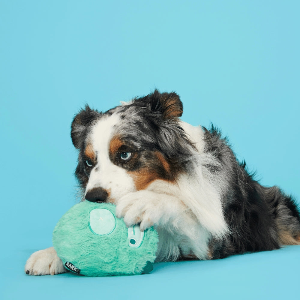 BARK Aurora Beast Super Chewer Dog Toy