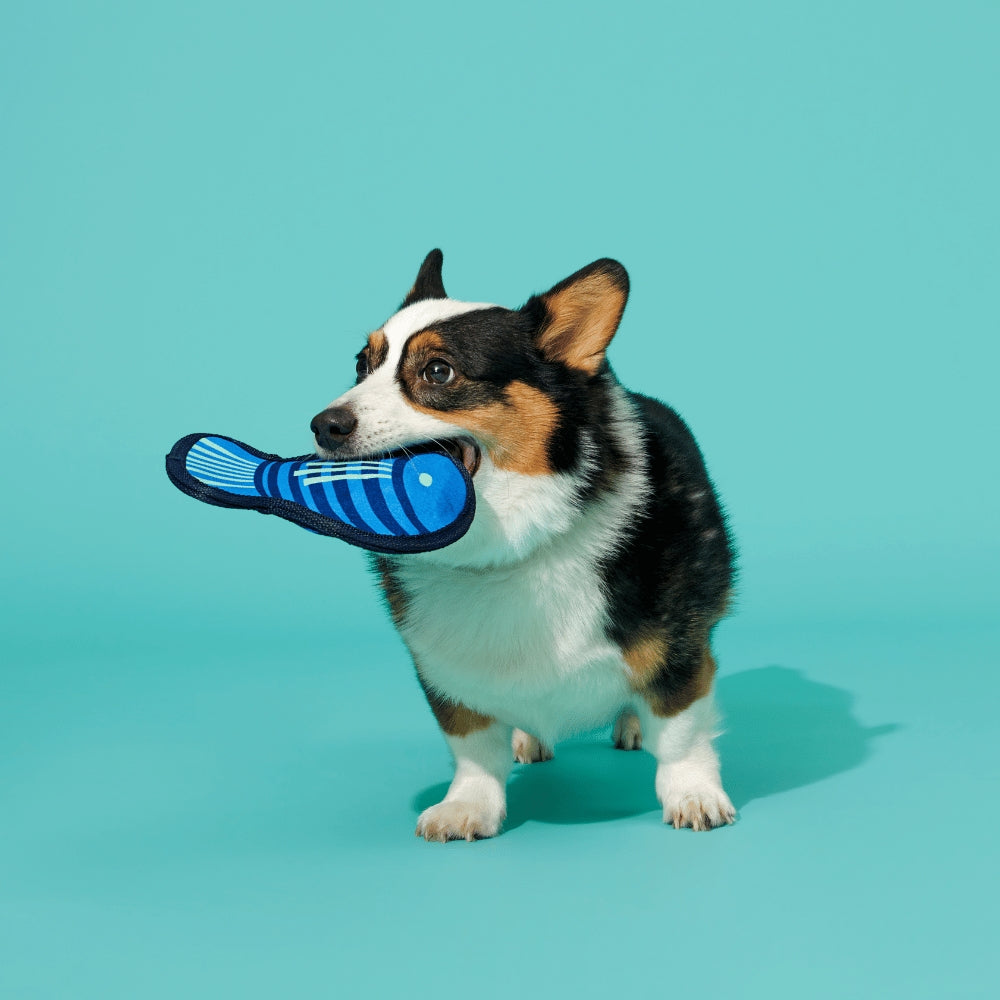 BARK Blue Rad Herring Super Chewer Dog Toy
