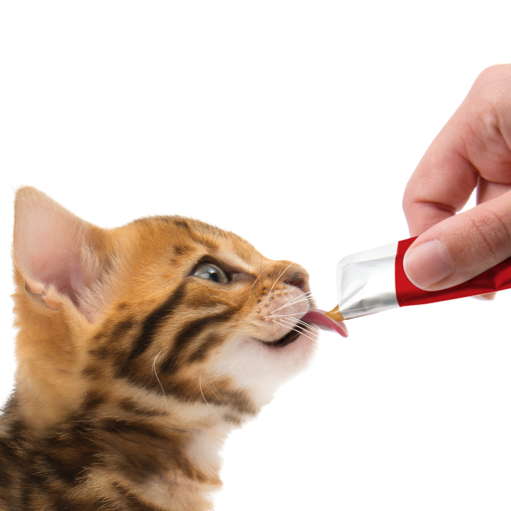 Catit Creamy All Natural Cat Treats Chicken & Lamb