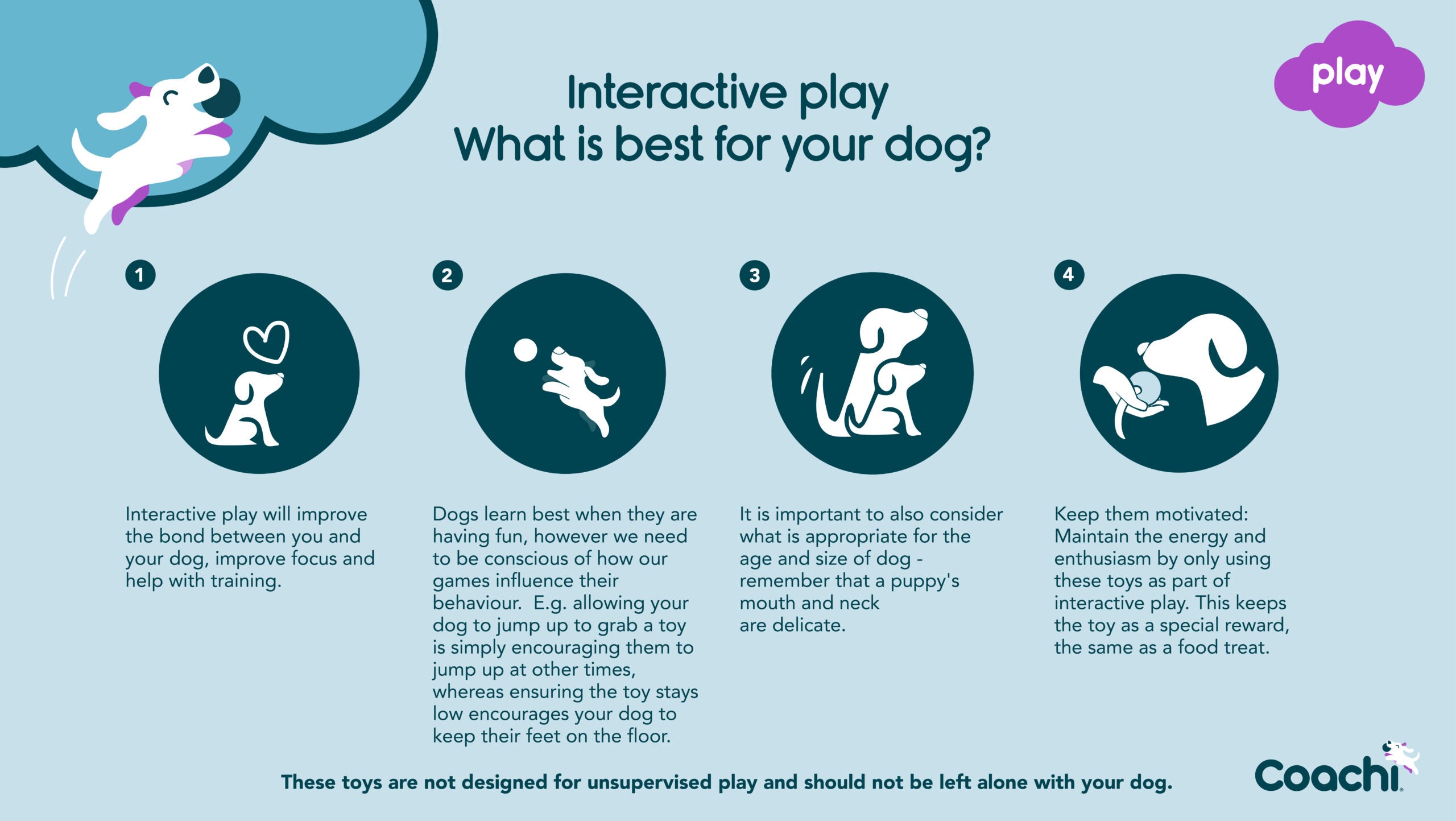 Coachi Tuggi Tug Navy Lime & Light Blue Training Toy