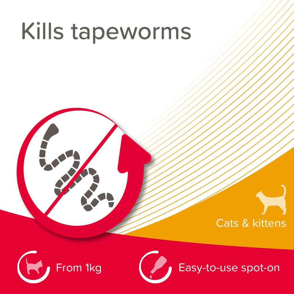 Beaphar WORMclear for Cats Worming Spot-On Solution x 2