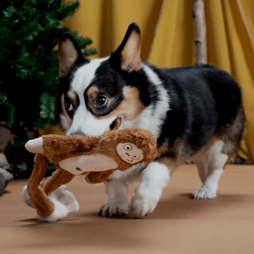 BARK Hairy Henderson Grrreat Outdoors Dog Toy