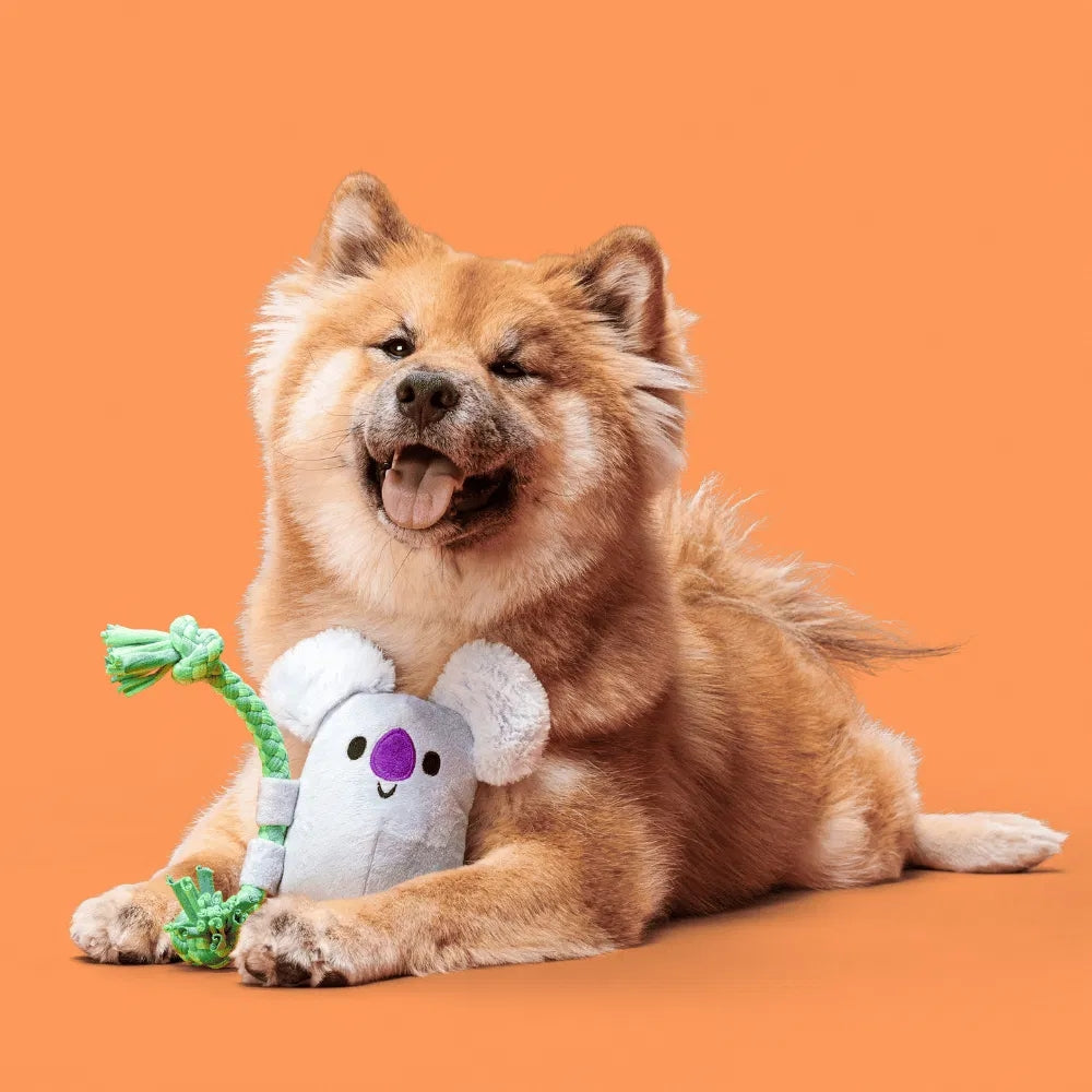 BARK Koa Koala Australian Outbark Dog Toy