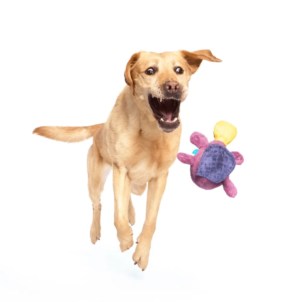 BARK Pippi Platypus Australian Outbark Dog Toy