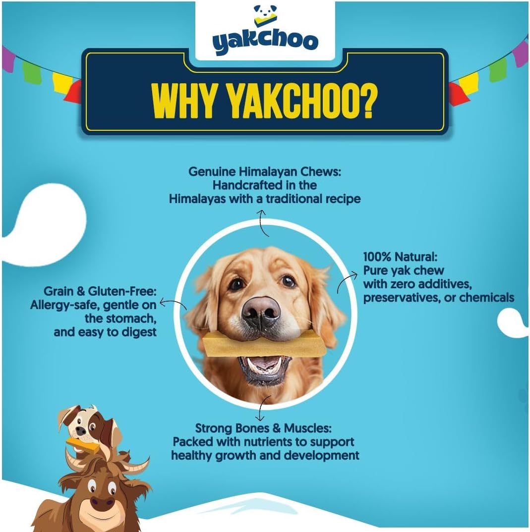 Yakchoo Himalayan Yak Cheese Dog Chews – Medium 70g - Blueberry Strawberry & Cranberry 3 Pack
