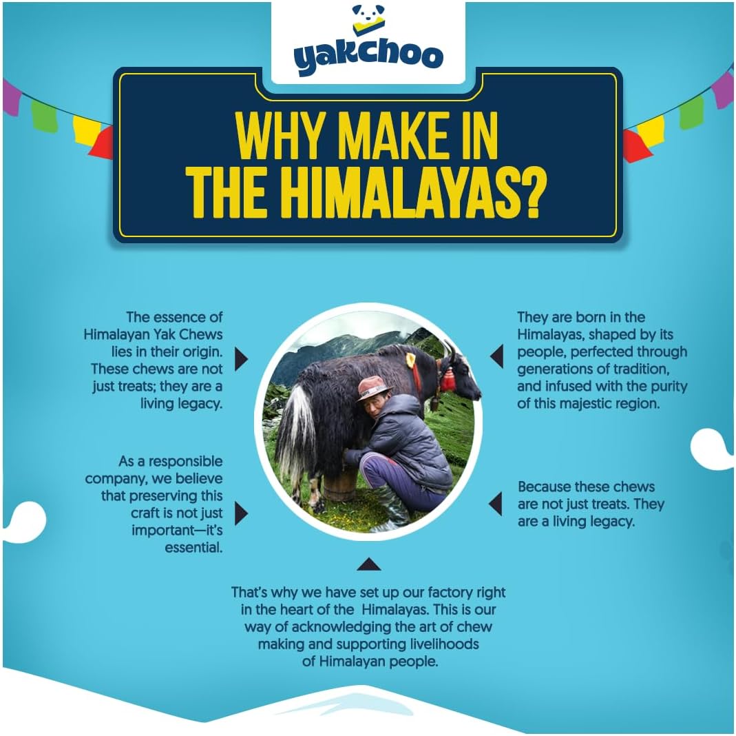 Yakchoo Himalayan Yak Cheese Dog Chews – Medium 70g - Blueberry Strawberry & Cranberry 3 Pack