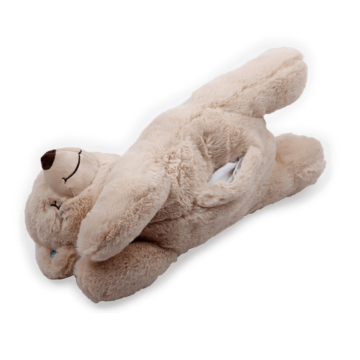 All For Paws Little Buddy Warm Bear