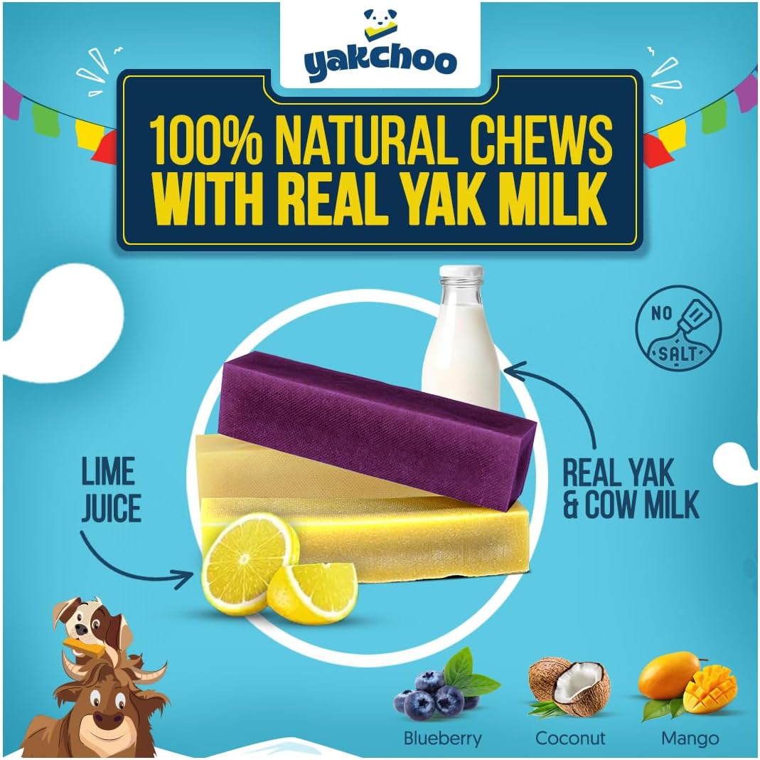 Yakchoo Himalayan Yak Cheese Dog Chews – Medium 70g - Blueberry Coconut & Mango 3 Pack