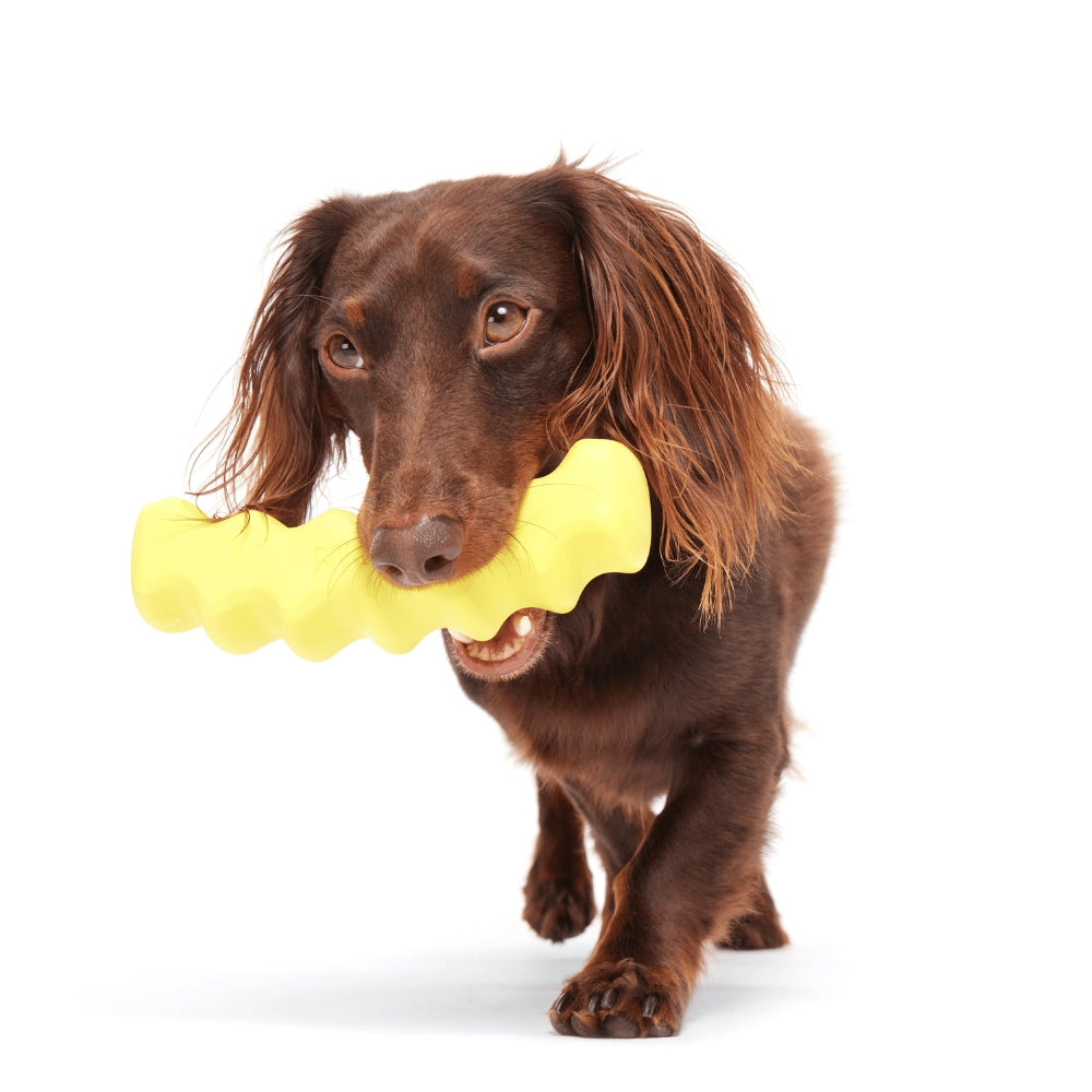 BARK Crinkle Fry Super Chewer Dog Toy